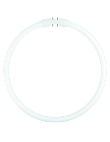 Osram fc 22w/830 lumilux tubo fluorescente circular t5 22w 3000k 2GX11