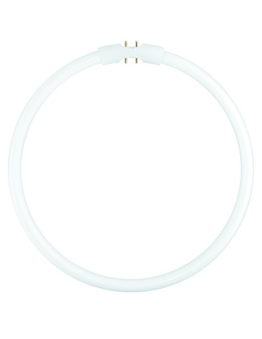 Osram FC 22W/830 Lumilux tubo fluorescente circular T5 22W 3000K 2GX1