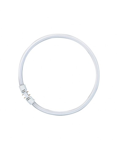 OSRAM FC 22W/830 LUMILUX TUBO FLUORESCENTE T5...