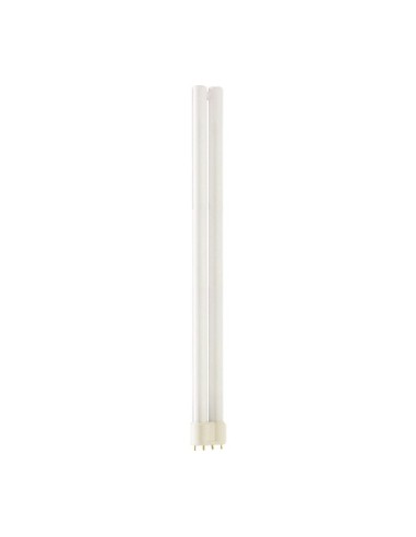 Philips master pl-l 36w 865 2G11 4 pin