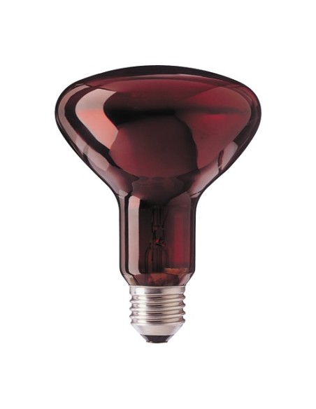 Infraroja R95 230V 100W E27