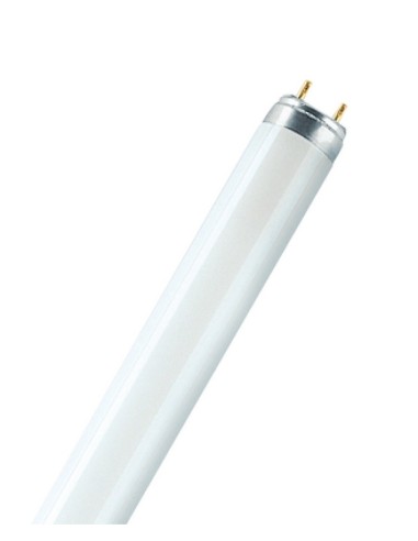 Osram tubo fluorescente t8 lumilux l15w 830 G13