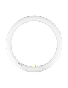 ELECTRO DH 80.355/T5/22/DIA TUBO CIRCULAR T5 22W 6400K G10q