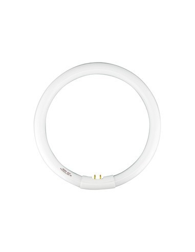 Electro dh 80.355/t5/22/dia tubo circular t5 22w 6400k G10q