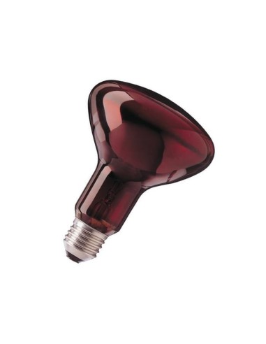 R95 infrarroja 230V 100W E27