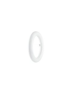 OSRAM-LEDVANCE SUBSTITUBE T9 22 220V 12W 4000K G10Q