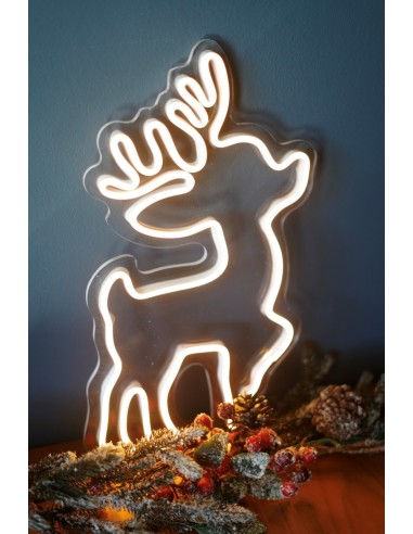 NEON LED RENO PEQUEÑO 40 X 20CM COLOR BLANCO FRIO