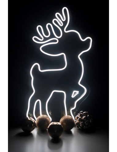 NEON LED RENO GRANDE 50 X 25CM COLOR BLANCO FRIO