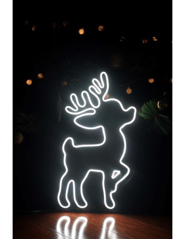 NEON LED RENO GRANDE 50 X 25CM COLOR BLANCO FRIO