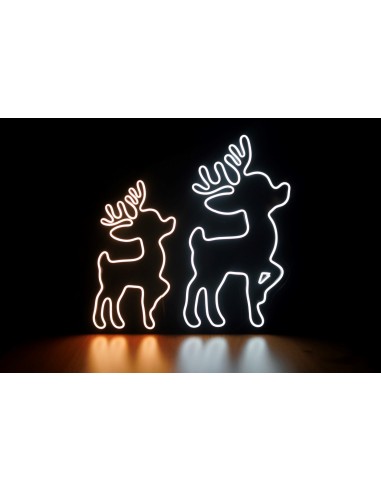 NEON LED RENO GRANDE 50 X 25CM COLOR BLANCO FRIO