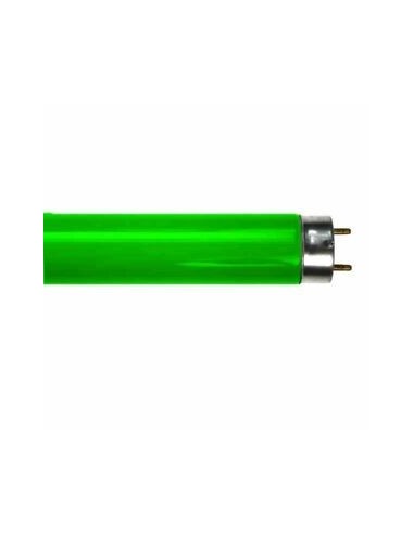 Osram lumilux L 18w/66 fluorescente t8 60cm color verde