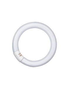 OSRAM LUMILUX CIRCULAR L22W/865