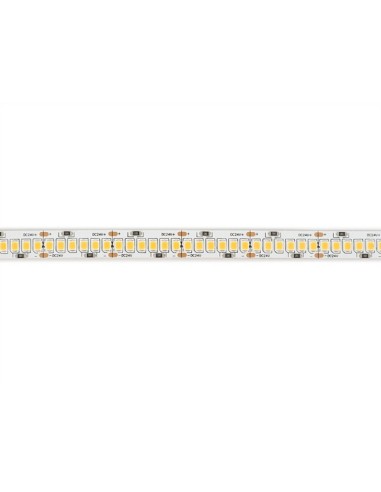 TIRA LED PROFESIONAL 5 METROS IP20 240 LED/METRO 24V 95W 270