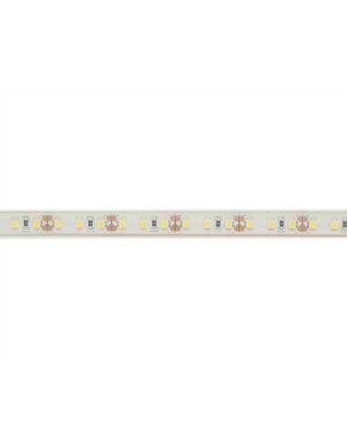 Velleman e12w150w65 tira de led profesional 5 metros IP68 12v 6500k 120 led/metro