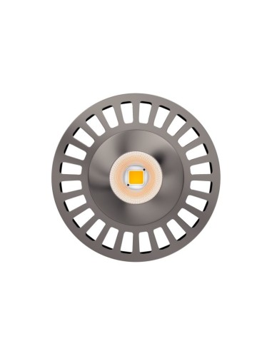 Beneito Faure 4003  r63 led s-line 220v 8w 60º...