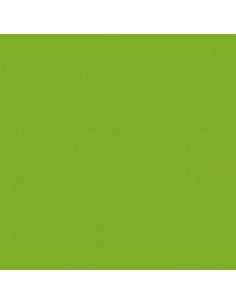 ROSCO FILTRO SUPERGEL R86 PEA GREEN 50X60CM