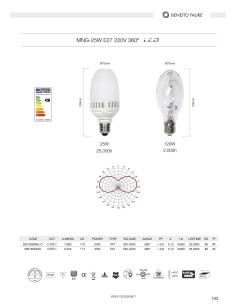 BENEITO FAURE 592165MNG LED 220V 25W 4000K E27