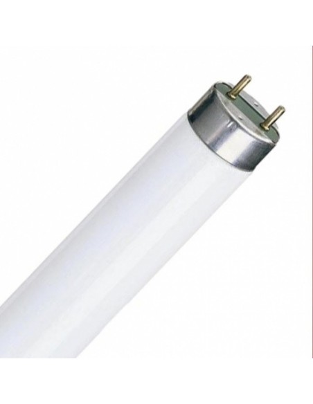 Perel gik08lamp tubo t8 bl actinico 10w G13