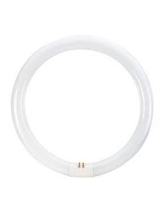 OSRAM T9 CIRCULAR 32W 865 G10Q