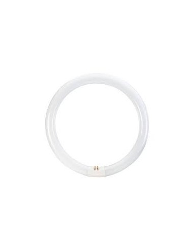 Osram tubo fluorescente T9 circular 32W 865 G10q