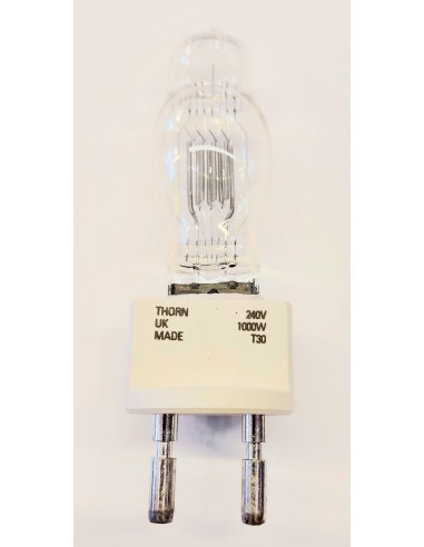 Thorn 30381  t30 240v 1000w G22