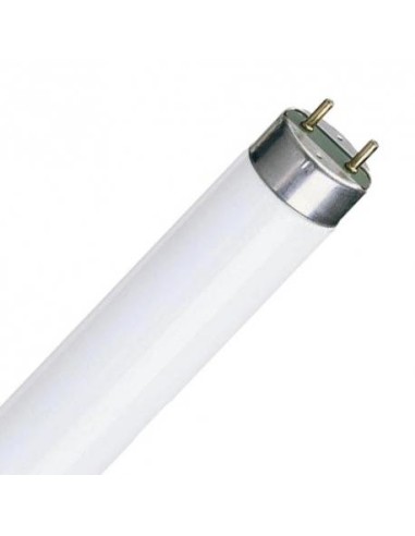 Electro dh 60.303/lamp fluorescente t8 bl 10w G13