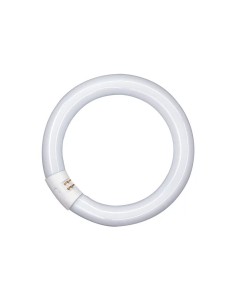 Osram tubo t9 circular 22w 840 G10q