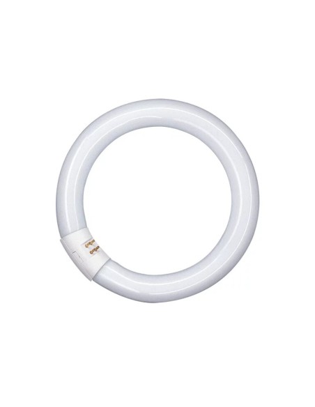 Osram tubo t9 circular 22w 840 G10q