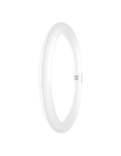Ledvance led tube t9 C em v 32 circular 18,3w 6500k G10AQ