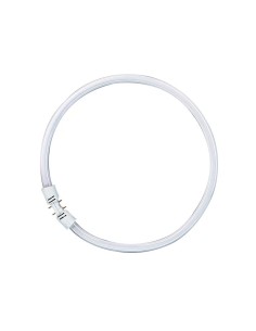 Osram tubo circular t5 55w 830 2GX13