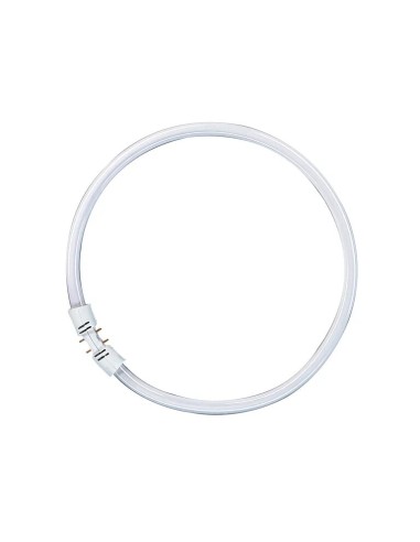 Osram tubo circular t5 55w 830 2GX13