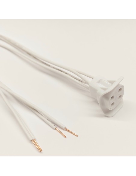 CASQUILLO LINESTRA 1 CONTACTO