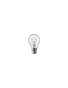 Osram incandescente standard clara 230v 100w B22d