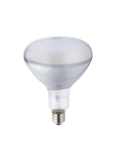 Philips argaphoto bm pf 318/e44 220v 500w E27