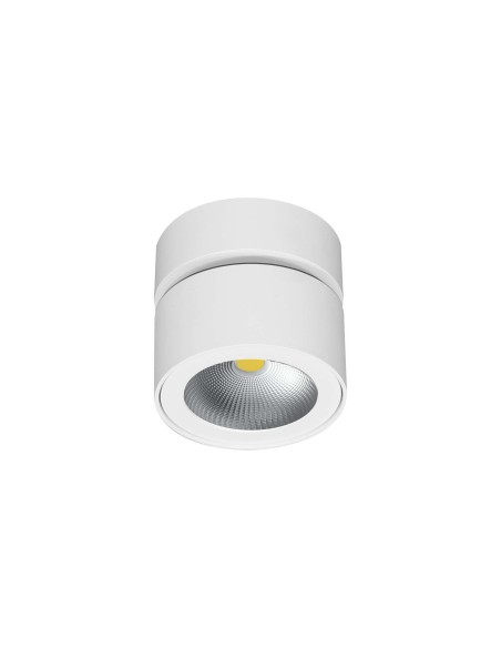 Beneito Faure 5071 foco led regulable superficie blanco 220v 14w 2700k 3200k 4000k 40º