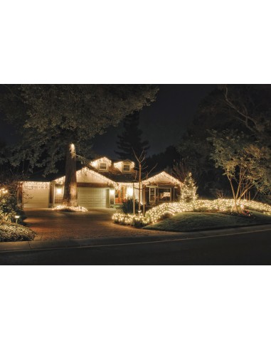 Showtec 41732 red guirnalda exterior ip44 540...