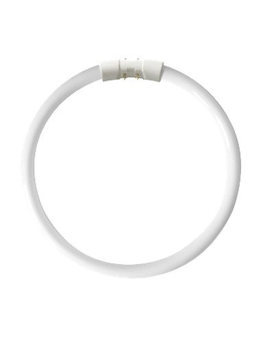 Osram lumilux fc tubo circular t5 22w 840