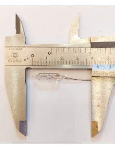 Garbanzo rabillo 1183 24v 0,05a