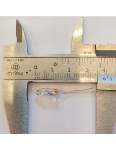 Garbanzo rabillo 6v