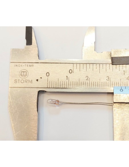 Garbanzo rabillo 2,5v 100ma