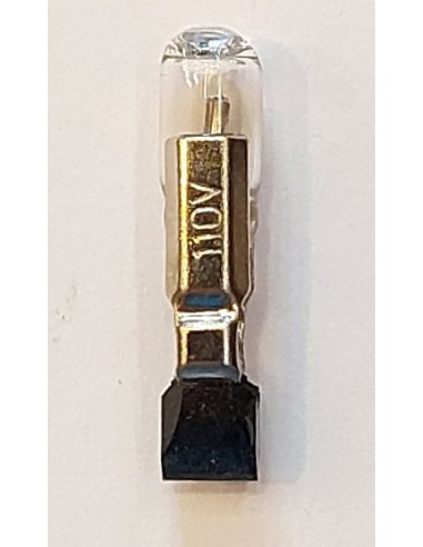 Telefonica neon 110V 22x4mm