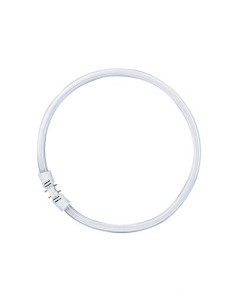 Osram lumilux fc tubo circular t5 22w 840 2