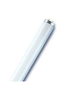 SULVANIA FLUORESCENTE T12 20W G13