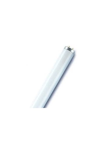 SULVANIA FLUORESCENTE T12 20W G13