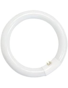 Sylvania tubo circular t9 40w 640 G10q