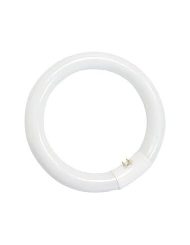 Sylvania tubo circular T8 40W 640 G10q