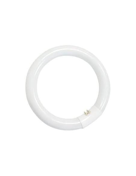Sylvania tubo circular t9 40w 640 G10q