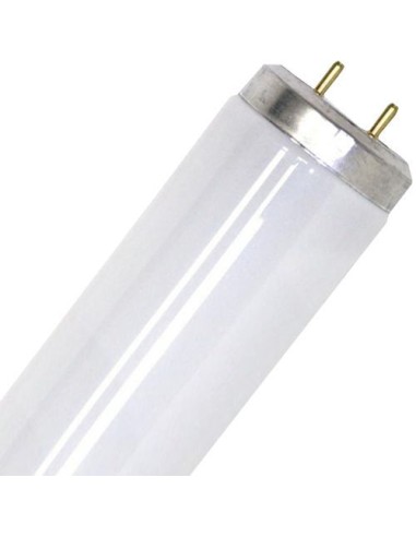 Philips tubo fluorescente t12 100w 10r r-uva G13