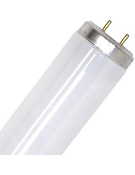 Philips tubo fluorescente t12 100w 10r r-uva G13