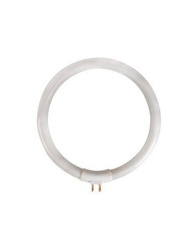 Velleman LAMP 12/10 fluorescente circular 12W para reposición lámpara lupa VTLAMP 10